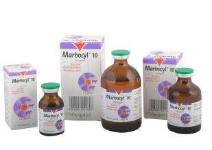 marbocyl 10%